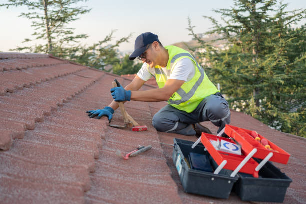 Best Roof Maintenance Services  in Fort Hall, ID