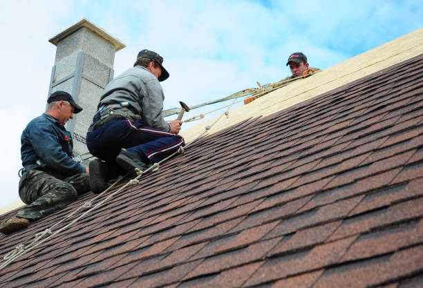 Best Roof Leak Repair  in Fort Hall, ID