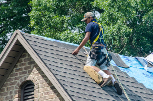 Best Roof Maintenance Services  in Fort Hall, ID